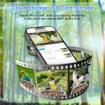 Smart Bird Feeder Manufacturer - 5MP Ultra HD Night