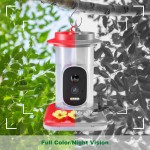 Bird Feeder Manufacturer - 5MP HD AI Bird Detection