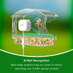 Bird Feeder Manufacturer - Acrylic Built-in WiFi Camera
