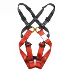 Body Harness Manufacturer - Adjustable Dorsal D-ring Electrical