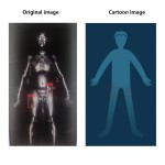 Body Scanner Manufacturer - Active Millimeter Wave Entrance