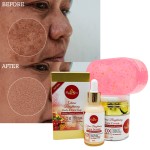 Private Label Korean Beauty Cosmetics Arbutin Skin Whitening Reduce Pigmentation Darkening Tomato Facial Skin Care Set