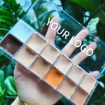 Concealer Palette Manufacturer - Customizable 12 Color Cream Concealer for Wholesale