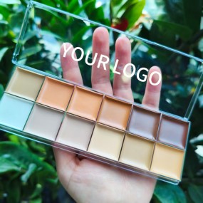 Concealer Palette Supplier - Custom Vegan Face Cream Concealer Palettes Private Label