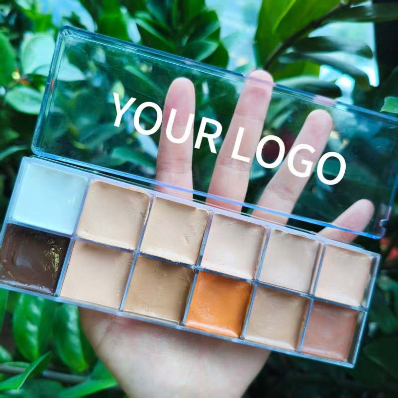 Concealer Palette Manufacturer - Customizable 12 Color Cream Concealer for Wholesale