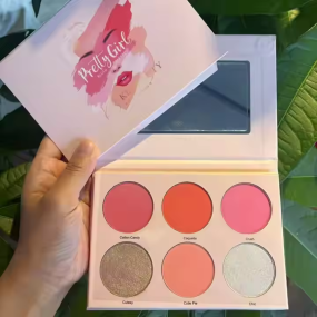 Blush Palette Manufacturer - Wholesale Private Label Vegan Highlighter Bronzer Blush