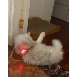 Amateur Radio Manufacturer - IC-V86 High Power VHF