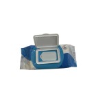 Pet Wet Wipes Factory - High Quality Eco Friendly Pet Hygiene Wholesale