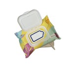 Baby Wet Wipes Supplier - Bulk Wholesale Soft Skin Protection
