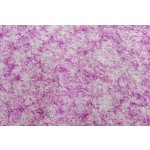 Non Woven Fabric Manufacturer - High Strength Eco Friendly Raw Material