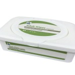 Flushable Wet Wipes Supplier - OEM Moisturizing Antibacterial Hot Sale