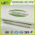 Flushable Wet Wipes Supplier - OEM Moisturizing Antibacterial Hot Sale