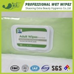 Flushable Wet Wipes Supplier - OEM Moisturizing Antibacterial Hot Sale