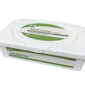 Adult Wet Wipes Factory - Disposable Antibacterial Hygiene Household