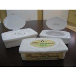Adult Wet Wipes Factory - Disposable Antibacterial Hygiene Household