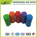 Baby Wipes Canister Manufacturer - Mini Customizable Key Chain Wholesale
