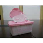 Adult Wet Wipes Factory - Disposable Antibacterial Hygiene Household
