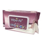 Baby Wet Wipes Supplier - Soft Pack Unscented Skin Care Production