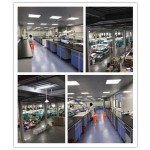 Adult Diapers Supplier - Soft Disposable Leak Resistant Convenient