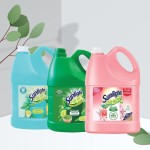 Kitchen Detergent Manufacturer - Eco Friendly 725ml Bulk