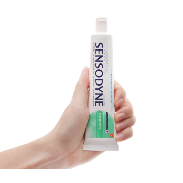 Toothpaste Supplier - Mint Flavor 100g Bulk Production