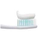 Toothpaste Manufacturer - Repair Protect 100g Custom