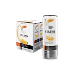 Celsius Energy Drink Supplier - Healthy Fitness Beverage Active Lifestyles