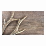 Red Deer Antlers Supplier - Natural Whole Antlers For Sale
