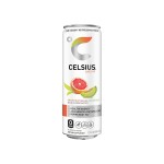 Celsius Energy Drink Supplier - Healthy Fitness Beverage Active Lifestyles