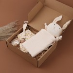 Baby Gift Set Supplier - Bibs Pacifier Clips