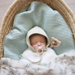 Baby Blanket Supplier - Waffle Cotton Solid