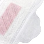 Sanitary Pads Supplier - High Quality Cotton Winged Anion