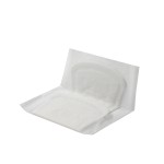 Panty Liner Manufacturer - Factory Sample Ultrathin Cozy