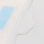 Sanitary Napkins Manufacturer - Wholesale Cotton Blue Chip