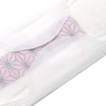 Sanitary Pads Supplier - New Style Brand Name Negative Ion