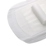 Sanitary Napkins Factory - Anion Chip Cotton Packaging