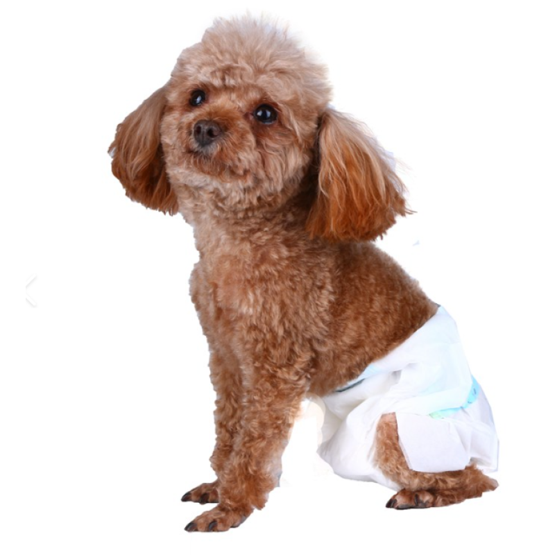Pet Diaper Factory - Disposable Pull Up Pants