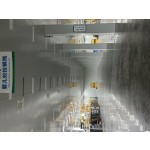 Dog Diaper Supplier - Pull Up Urine Control