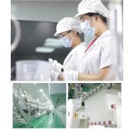 Adult Diaper Supplier - Disposable Postpartum Care