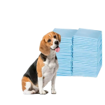 Underpads Factory - Absorbent Incontinence Bed