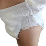 Dog Diaper Supplier - Pull Up Urine Control