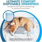 Underpads Factory - Absorbent Incontinence Bed