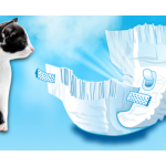 Pet Diaper Factory - Disposable Pull Up Pants