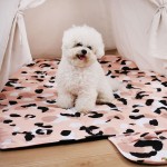 Pet Camping Bed Factory - Waterproof Foldable Travel