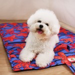 Pet Mat Manufacturer - Oversized Breathable Travel
