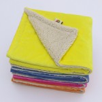 Pet Throw Supplier - Coral Fleece Sleep Rug