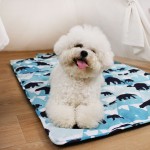 Outdoor Blanket Factory - Waterproof Multi Function