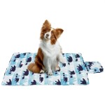 Pet Cushion Manufacturer - Portable Picnic Beach