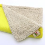 Pet Throw Supplier - Coral Fleece Sleep Rug