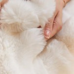 Faux Fur Blanket Manufacturer - Polyester Bubble Design